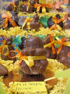 chocolate poussin in window